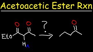 Acetoacetic Ester Synthesis Reaction Mechanism [upl. by Cormac]