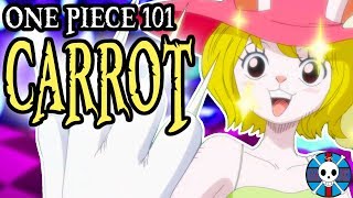 Carrot Explained  One Piece 101 [upl. by Eed]