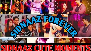 Sidnaaz Cute Moments  Sidharth Shukla  Shehnaaz Gill  Sidnaaz Together [upl. by Natrav]