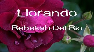 Llorando Crying by Rebekah Del Rio [upl. by Ahsinahs484]