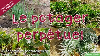 Le potager perpétuel  Autonomie et permaculture avec David [upl. by Bert975]