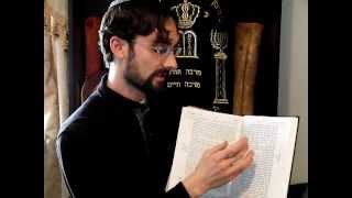 Review of Artscroll Stone Edition Tanach Hebrew  English [upl. by Adest]