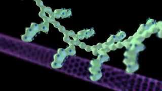 Nanotechnology Animation Functionalized nanotubes [upl. by Winnie]