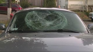 Car vandalism caught on camera [upl. by Atter]