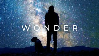 Alan Watts  Wonder [upl. by Aicert]