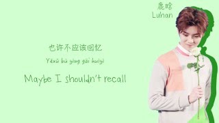 Luhan 鹿晗  Excited 封印 Lyrics ChiPinEng [upl. by Rollo]