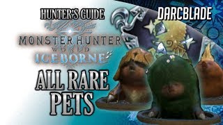 All Rare Pets Complete Guide  MHW Iceborne [upl. by Adrianne]