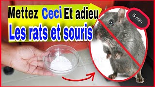 👉COMMENT DEBARRASSER LES RATS ET LES SOURIS DE VOTRE MAISON facilement AGIT EN 5 MINUTES [upl. by Westland]