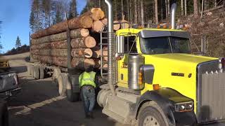 A Nice Day For A Log Truck Ride [upl. by Estas954]