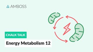 Energy Metabolism  Part 12 Ketone Body Metabolism [upl. by Yllehs]