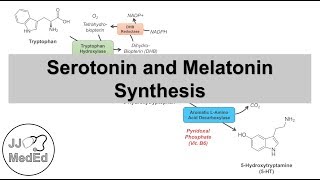 Serotonin and Melatonin Synthesis  Tryptophan Metabolism [upl. by Russia743]