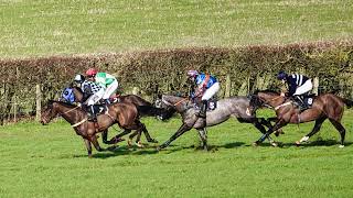 MILBORNE ST ANDREW POINT TO POINT FEB 2024 [upl. by Eustazio]