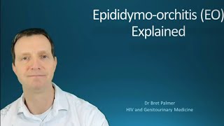 Epididymoorchitis EO explained 49 [upl. by Jabon985]