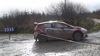 Killarney Forestry Rally 2024 HD [upl. by Babcock]