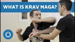 What is Krav Maga [upl. by Catherin]