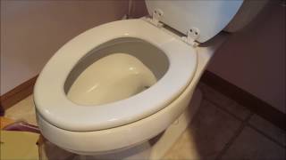 DIY 101 How To Remove amp Replace a Toilet Seat [upl. by Atsev133]