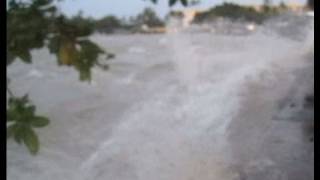 Shocking Footage of the 2011 Tsunami Hitting Hawaii [upl. by O'Neill]