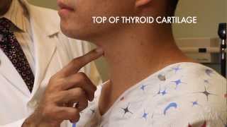 The Thyroid Exam Stanford Medicine 25 [upl. by Emiatej405]