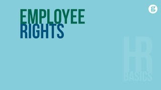 HR Basics Employee Rights [upl. by Carine41]