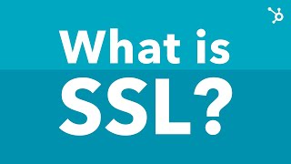 What Is SSL Explained [upl. by Elleirad]