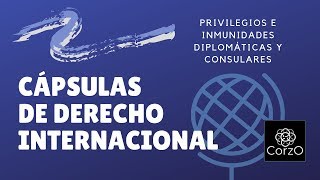 Privilegios e inmunidades diplomáticas y consulares [upl. by Nathanson]