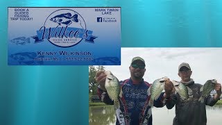 Wilkees Guide Service  Crappie Fishing  Mark Twain Lake [upl. by Adnarim471]