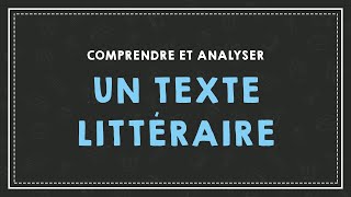 COMPRENDRE ET ANALYSER UN TEXTE [upl. by Biles]