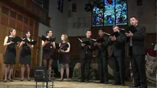 musica intima Le chant des oyseaux Clement Janequin [upl. by Auqemahs]