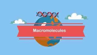 MacromoleculesA Beginners Guide [upl. by Blas229]