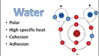 Water Chemistry [upl. by Joellyn]