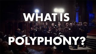 What is Polyphony [upl. by Newmark]