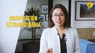 Cálculo de gratificación en el Perú Todo lo que debes saber sobre pago por 28  VidesoEC [upl. by Anama]