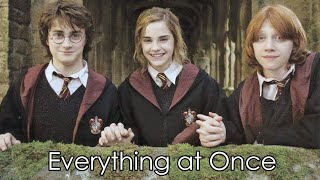 Harry Potter Everything at Once [upl. by Atima]