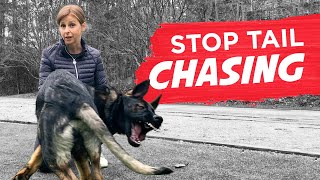 How To Stop Your Dog From Chasing Their Tail [upl. by Gitel]