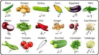 Vegetable Names in English and Urdu  سبزیوں کے نام [upl. by Wei]