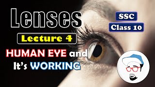 LENSES Lecture 4 Class 10 SSC  HUMAN EYE  Maharashtra state board Science 1 [upl. by Benedix]