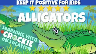 Learn about Alligators  Kids Nature  Keep it Positive for Kids [upl. by Etnasa462]