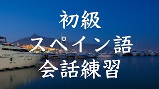 初級スペイン語会話トレーニング200  基本フレーズ聞き流し [upl. by Colette]