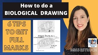 How to do BIOLOGICAL DRAWINGS for GCSE and Alevel required practicals How to get full marks [upl. by Codee]