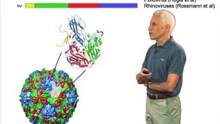 Picornaviruses  Stephen Harrison HarvardHHMI [upl. by Dogs]