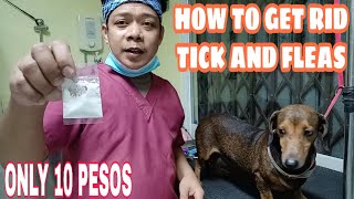 HOW TO GET RID OF TICKS AND FLEAS  MABISANG PANTANGGAL NG GARAPATA [upl. by Engedus]