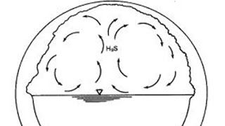 Predicting Hydrogen Sulfide Formation [upl. by Laurence]