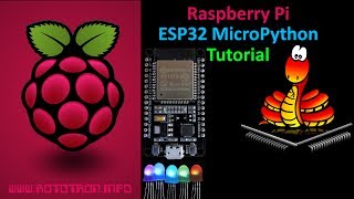 ESP32 MicroPython Tutorial with Raspberry Pi [upl. by Fiedler]