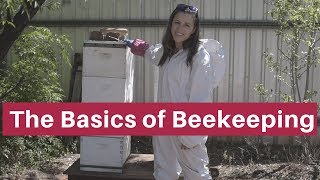 Beekeeping for beginners The absolute basics [upl. by Niemad]