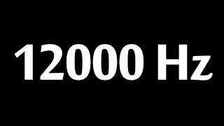 12000 Hz Test Tone 10 Hours [upl. by Nelag753]