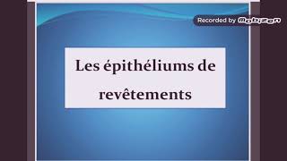 Histologie 🔴 Épithélium de revêtement [upl. by Sima462]