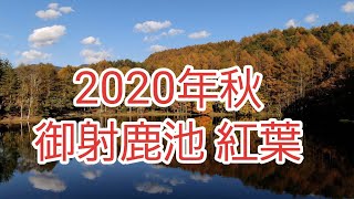 2020年 秋 御射鹿池 紅葉 [upl. by Eseer]