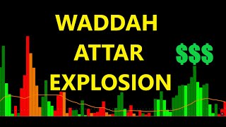 How I Trade With The WAE Indicator  Waddah Attar Explosion Explained [upl. by Nosduh]