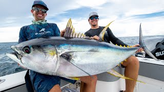 Monster Yellowfin Tuna [upl. by Sirrep]