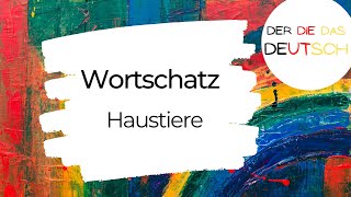 Haustiere  Deutsch lernen  Wortschatz [upl. by Mohammed]